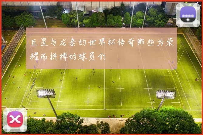巨星与龙套的世界杯传奇那些为荣耀而拼搏的球员们